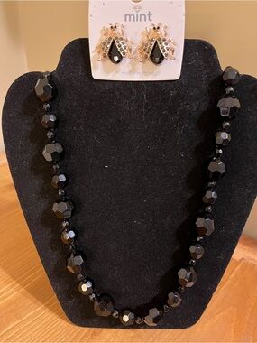 Acrylic jet black uniform geometric shape spacers & black lady bug post back 30”